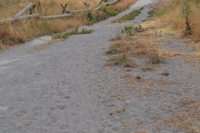 A short portion of trail has loose sand